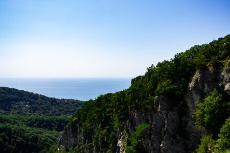 Mountains with Christmas trees against the blue sky with clouds. Beautiful panoramic view of firs and larches coniferous forest against blue sky.の写真素材