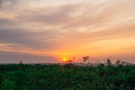 Sunset over the trees, very orange
