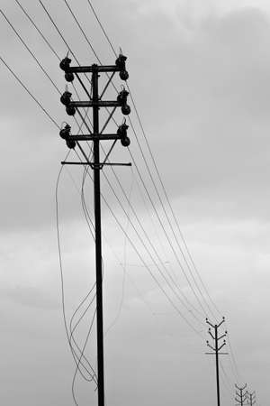 continuous power lines in monochromeの写真素材