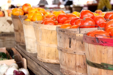 Fresh Fruit bucketsの写真素材