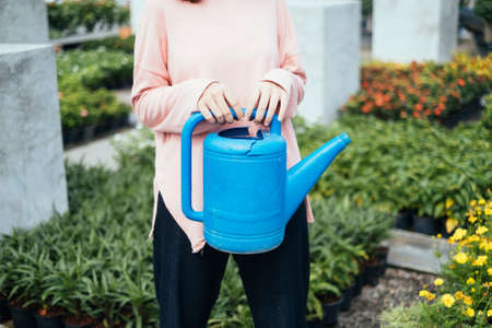 Cropped image of broken watering pot in held by the woman in pink long sleeve t-shirt in the garden.