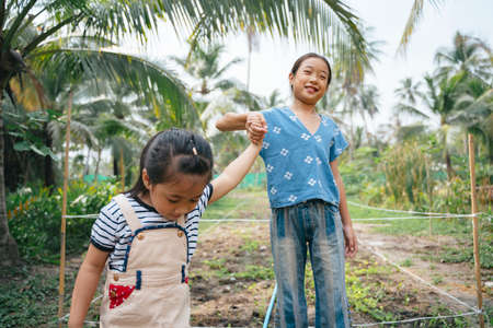 Cheerful two asian little girl holding hands walking in organic farm at countryside in Thailand.の写真素材