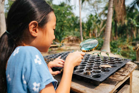 Girl holding magnifying glass examining little plant on small dirt pot.の写真素材