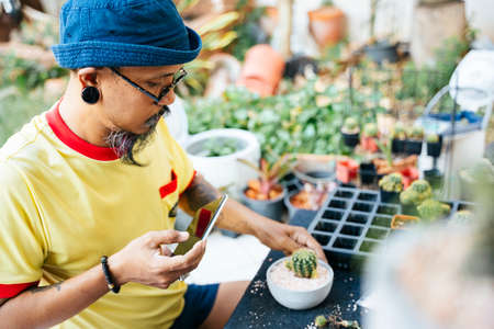 A man in yellow t-shirt plant the cactus in the pot and decorate the pot with cute stone, cactus in...