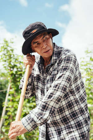 Asian elderly senior farmer with a hat using shovel in a farm.の写真素材
