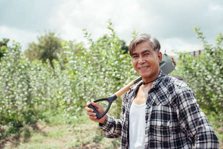 Portrait of asian elderly senior farmer holding shovel at local farm.の写真素材