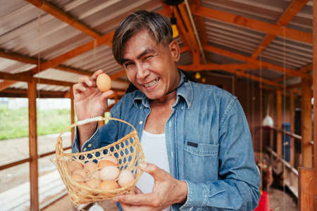 Asian elderly senior farmer holding egg basket in chicken farm house.の写真素材