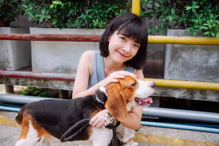 Beautiful asian thai short hair woman petting beagle dog with love. Walk the dog.の写真素材