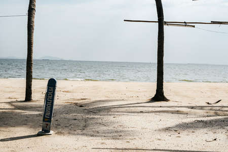 Beautiful tropical summer beach with many coconut tree in summer.の写真素材