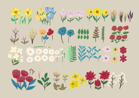 Set of floral branch. Variety of flower in Vector. Floral poster. Flower element for designer.のイラスト素材