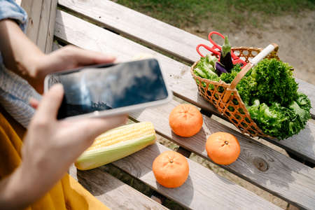 Customer buying fresh vegetables and fruits with online application on smartphone.の写真素材