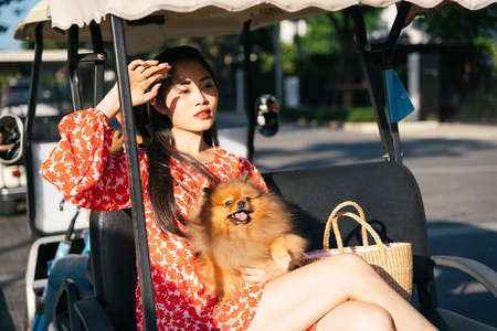Beautiful asian woman and her dog sitting on a passenger shuttle car in sunset light.の写真素材