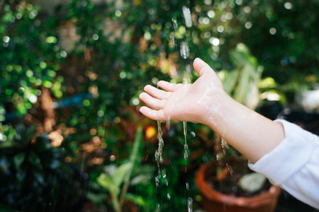 Hand of little kid touching a rain drop in garden.の写真素材