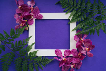 Christmas tree branches and orchid flower lay flat on purple background with blank white frame card. Thai mother day.の写真素材