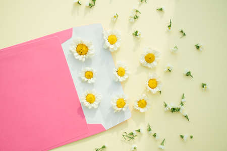 Pink enclosed letter and flower over yellow background. Top view.の写真素材