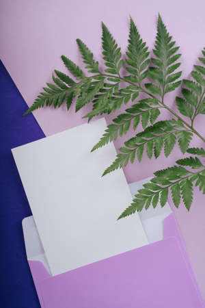Christmas tree branches lay flat on purple background with blank white frame card. Thai mother day.の写真素材
