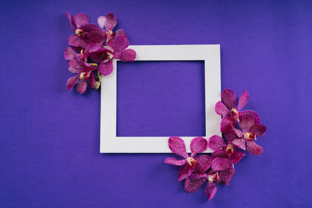 Top view of white frame over purple background with orchid flowers. Mock up and copy space. Thai...