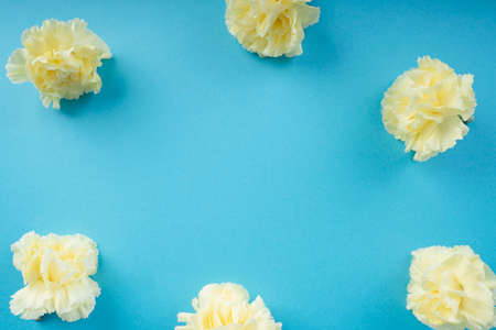 Yellow flower over bright blue background. Mock up and Copy space.の写真素材