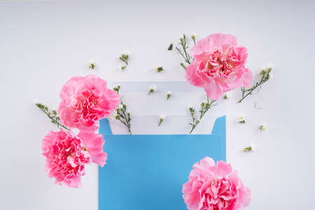 Pink blossom flower with blue mock up enclosed letter over white background. Top view.の写真素材