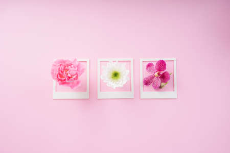 White frame mock up with flower over pink background. Copy space.の写真素材