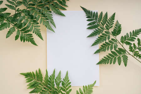 Tropical green leaves with white mock up paper over beige background with copyspace. Flat lay.の写真素材