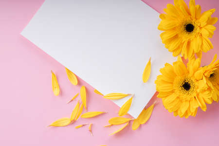 Mock up white paper frame with sunflower over pink background. Top view.