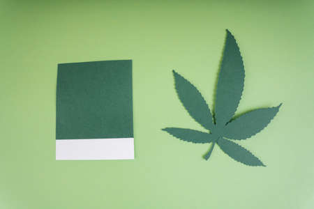Green pantone and marihuana leaf over light green background. Copy space.の写真素材