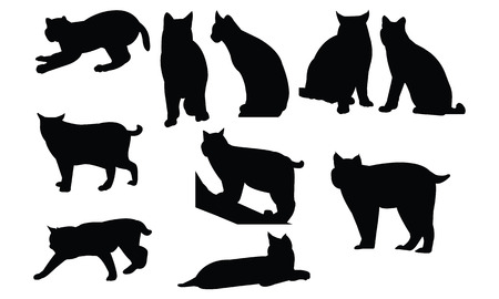 Bob Cat  Silhouette vector illustrationのイラスト素材