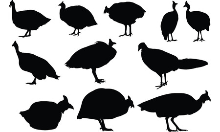 Fowl  silhouette vector illustrationのイラスト素材