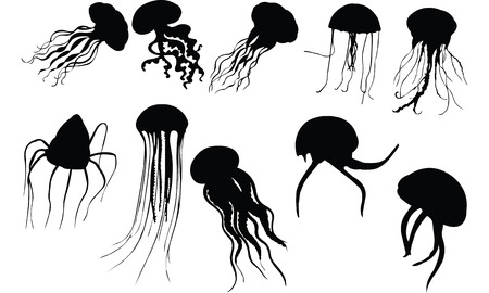 Octopus Silhouette vector illustrationのイラスト素材
