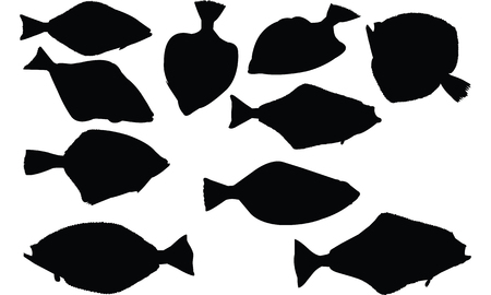 Halibut Fish Silhouette vector illustrationのイラスト素材
