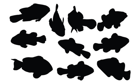 Clown Fish Silhouette vector illustrationのイラスト素材