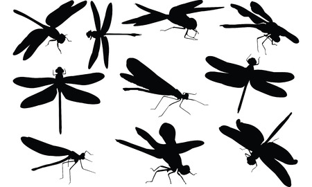 Dragonfly Silhouette vector illustrationのイラスト素材