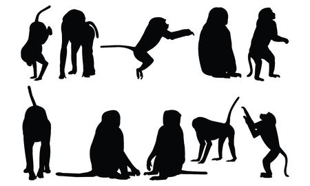 Baboon Silhouette vector illustrationのイラスト素材