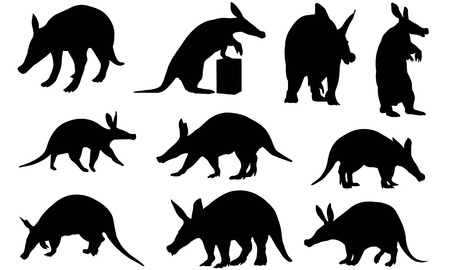 Aardvark silhouette vector illustrationのイラスト素材