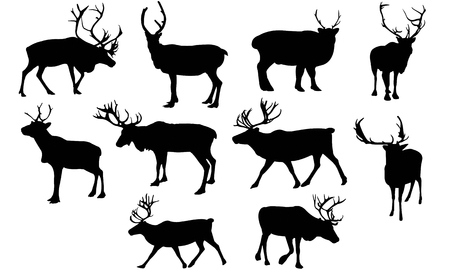 Reindeer  silhouette vector illustrationのイラスト素材