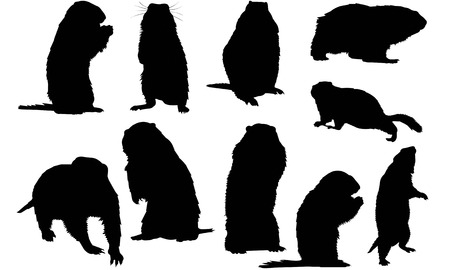 Marmot  silhouette vector illustrationのイラスト素材