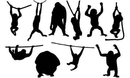 Orangutan   silhouette vector illustrationのイラスト素材