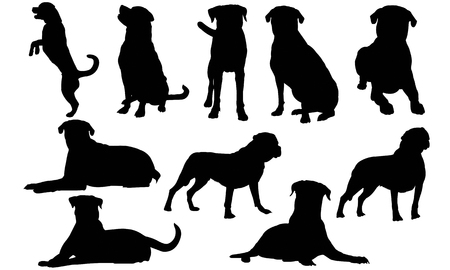 Rottweiler Dog silhouette illustrationのイラスト素材