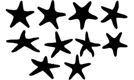 Star fish silhouette illustrationのイラスト素材
