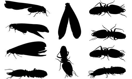 Termite silhouette illustrationのイラスト素材