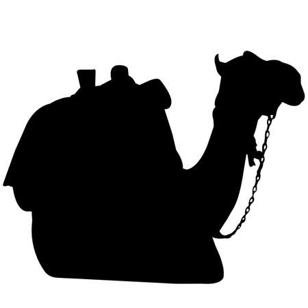Camel Silhouette Vector Graphicsのイラスト素材
