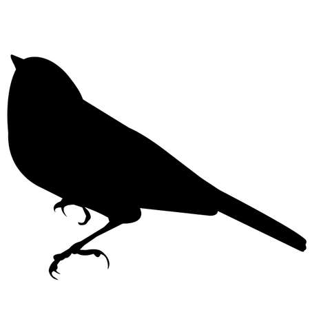 Chickadee Silhouette Vector Graphicsのイラスト素材