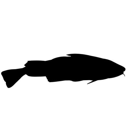 Cod Silhouette Vector Graphicsのイラスト素材