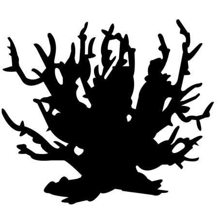 Coral Silhouette Vector Graphicsのイラスト素材