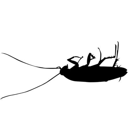 Cockroach Silhouette Vector Graphicsのイラスト素材