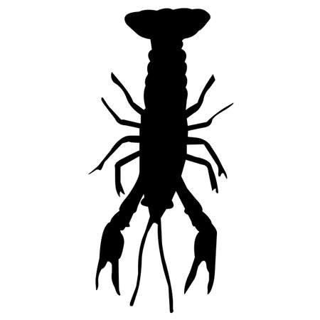 Crayfish Silhouette Vector Graphicsのイラスト素材