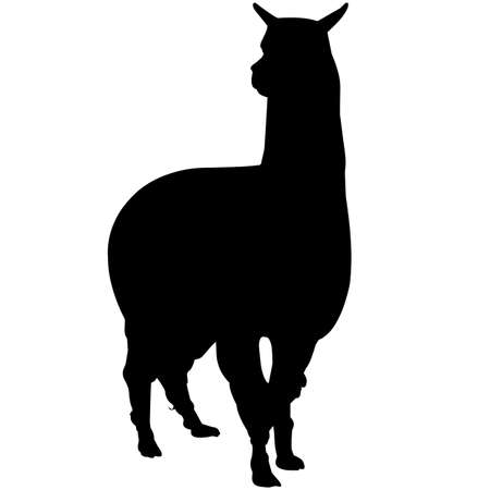 Alpaca Silhouette Vector Graphicsのイラスト素材