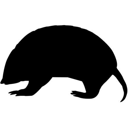 Armadillo Silhouette Vector Graphicsのイラスト素材