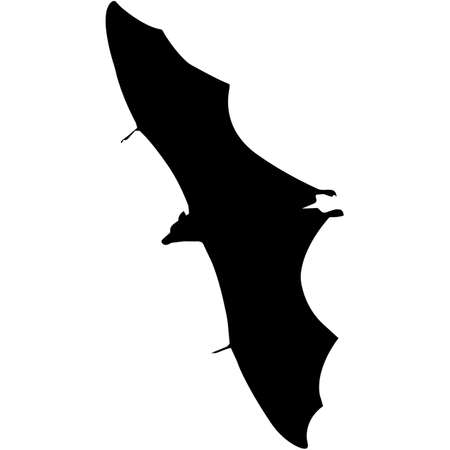 Bat Silhouette Vector Graphicsのイラスト素材